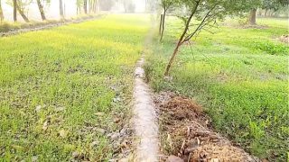 Dehati Gf Fucking Outdoor MMS Sex Video Leaked